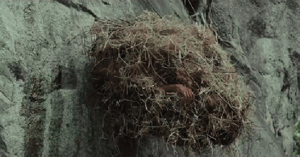 Phim Việt Cải Mả chưa chiếu đã nhận bão 1 sao - Quy trình vận hành chuẩn trong phòng sạch điện tử