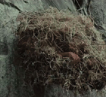 Phim Việt Cải Mả chưa chiếu đã nhận bão 1 sao - Quy trình vận hành chuẩn trong phòng sạch điện tử