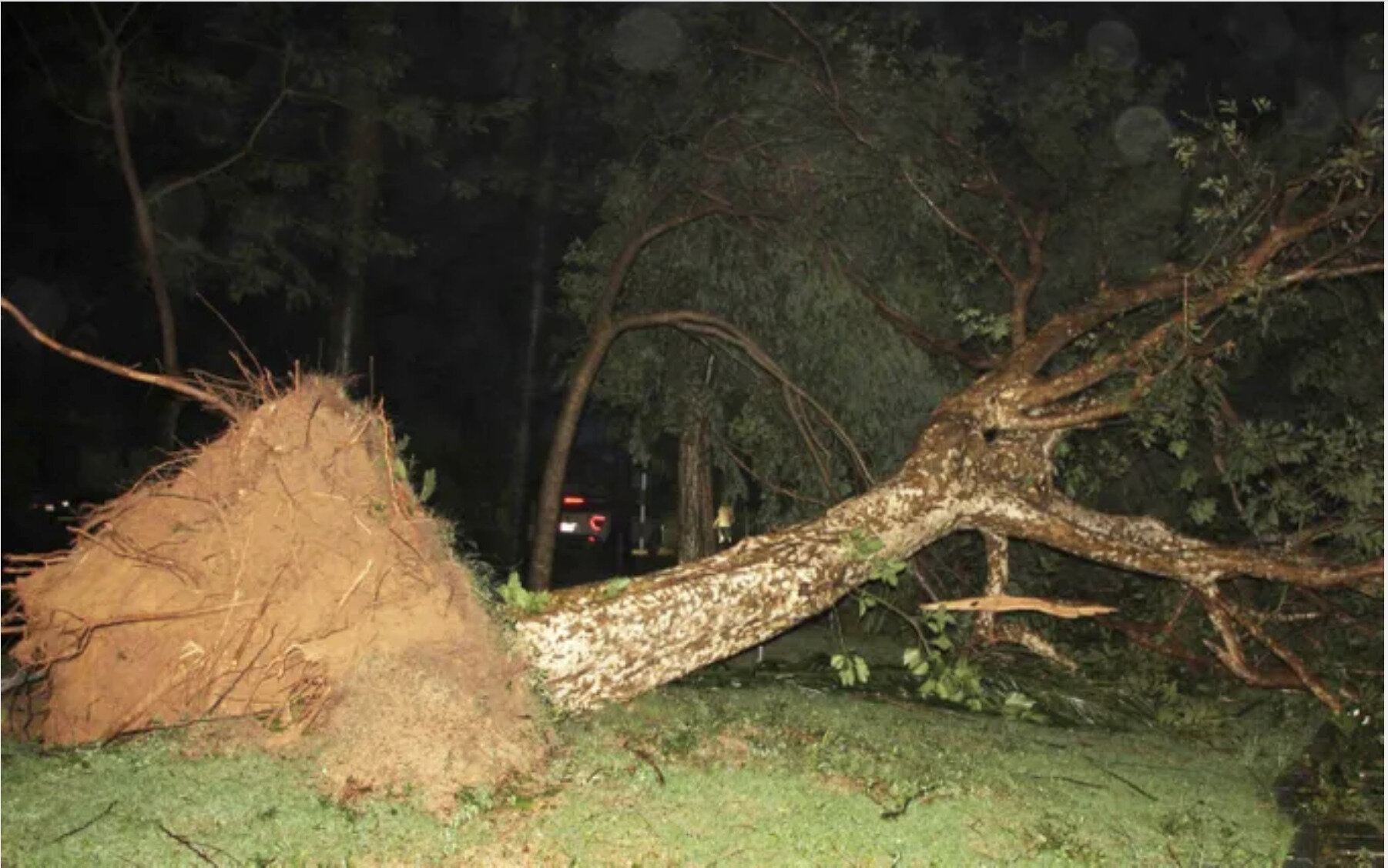 phòng sạch điện tử