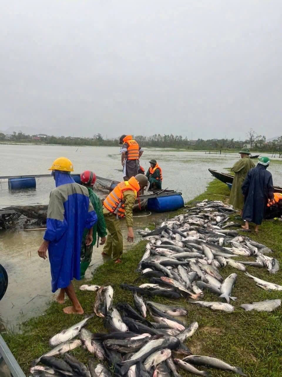 thiết bị phòng sạch