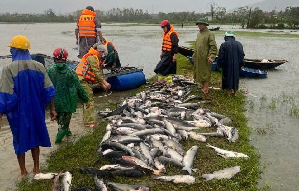 thiết bị phòng sạch